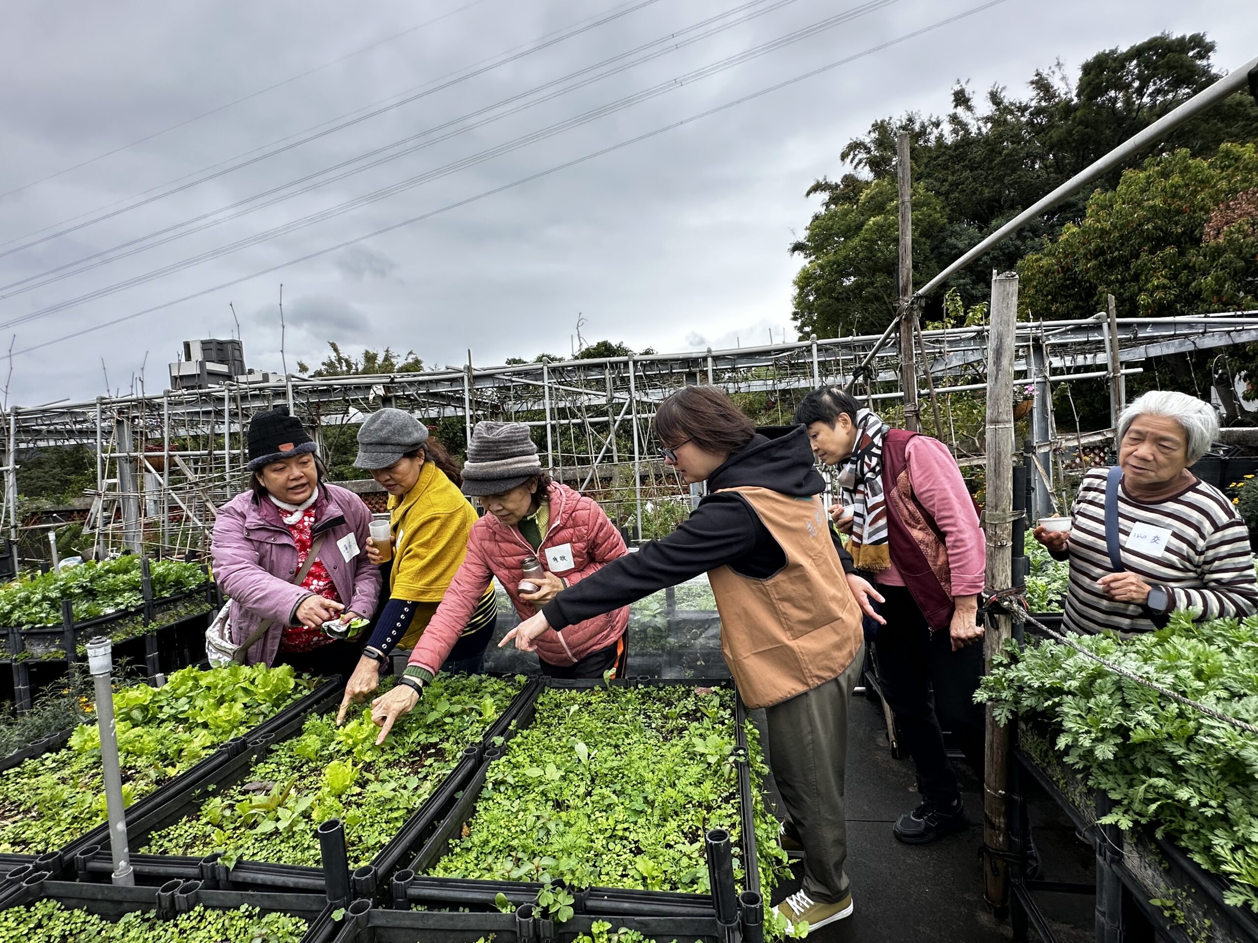 巡禮三｜綠意巡禮 護生行願