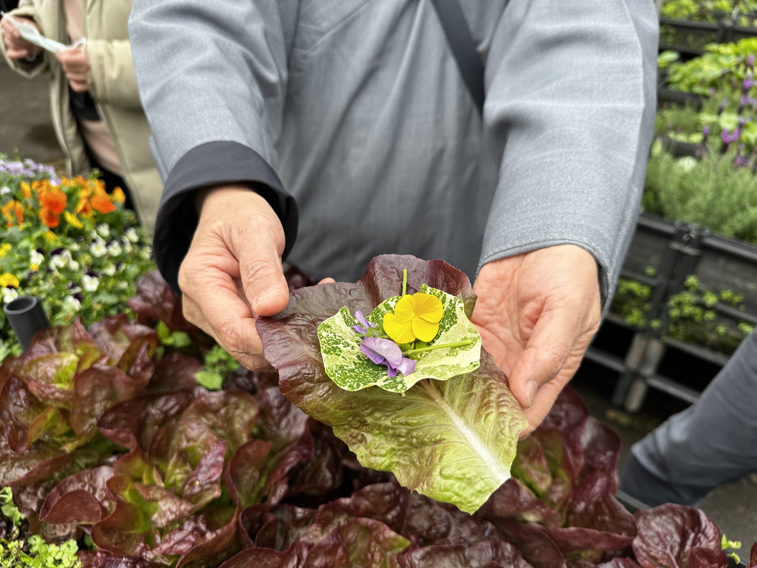 巡禮三｜綠意巡禮 護生行願